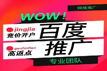 某行业SEM投放效果显著案例分享